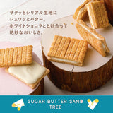 日本sugar butter tree 黄油树巧克力夹心饼干 10枚入 赏味期限24.12.04